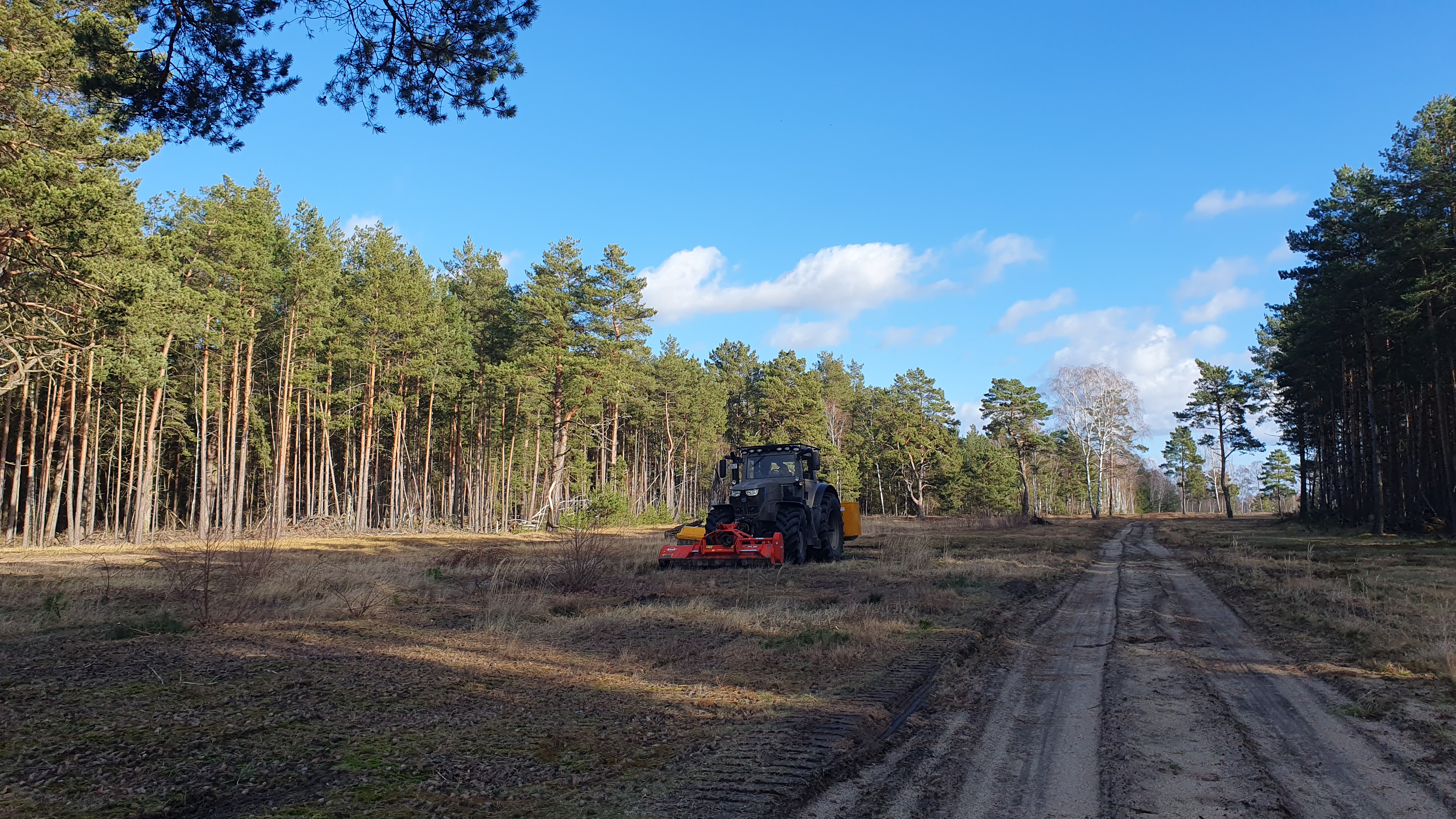 Ein Traktor mäht eine Schutzschneise im Wald.